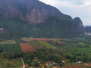 For sale land in Mueang Krabi, Krabi