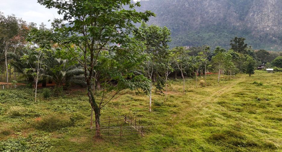 ขาย ที่ดิน ใน เมืองกระบี่, กระบี่
