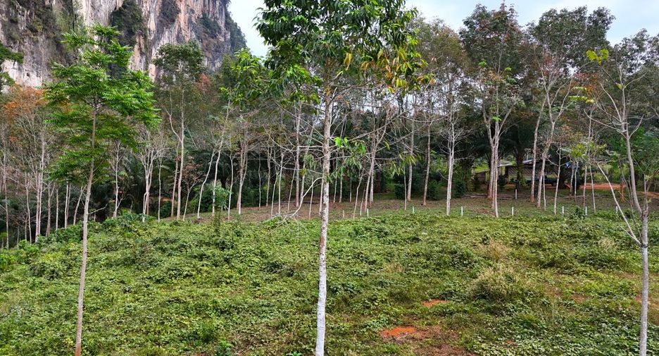 ขาย ที่ดิน ใน เมืองกระบี่, กระบี่