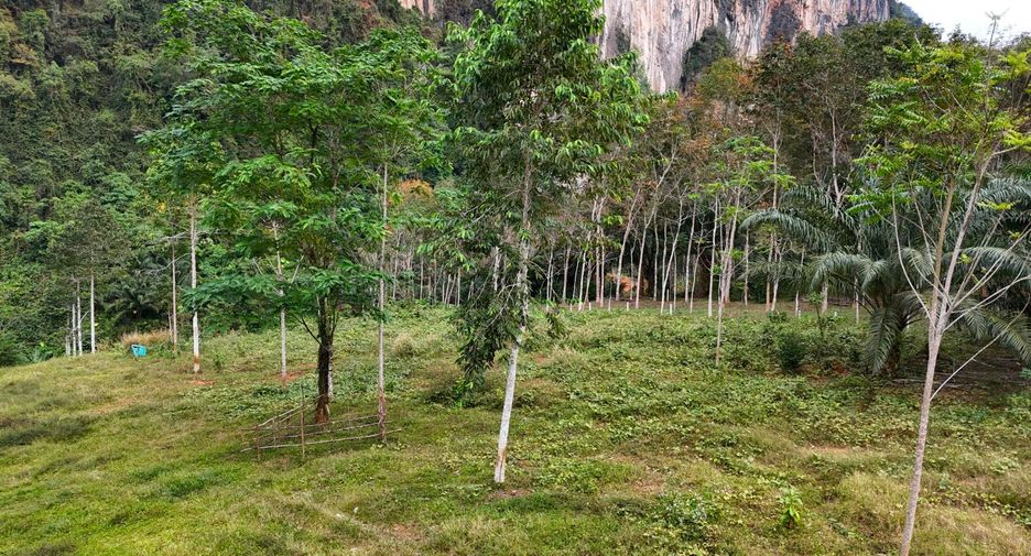 ขาย ที่ดิน ใน เมืองกระบี่, กระบี่
