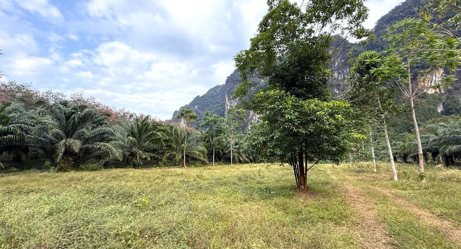 ขาย ที่ดิน ใน เมืองกระบี่, กระบี่
