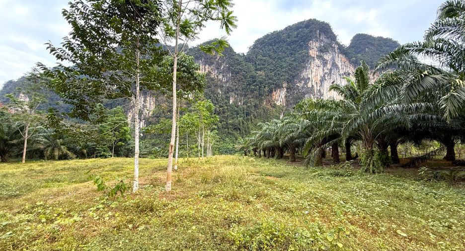ขาย ที่ดิน ใน เมืองกระบี่, กระบี่
