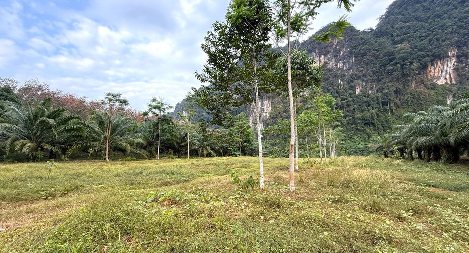 ขาย ที่ดิน ใน เมืองกระบี่, กระบี่
