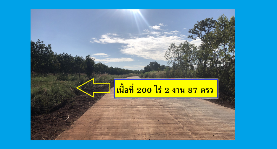 For sale land in Ban Muang, Sakon Nakhon