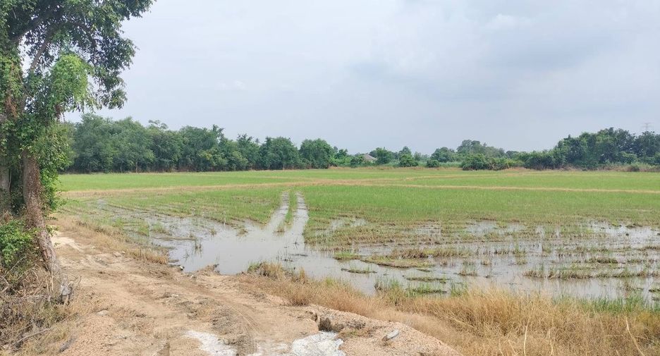 For sale land in Mueang Nakhon Sawan, Nakhon Sawan