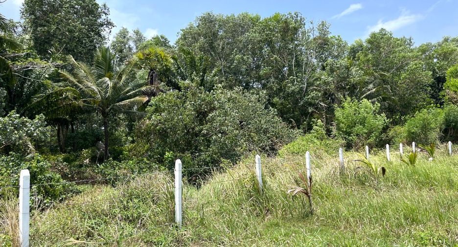 出售 土地 在 Takua Thung, Phangnga