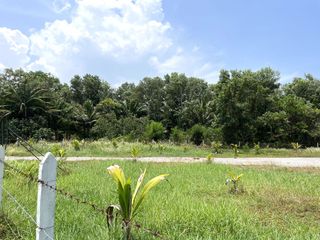 出售 土地 在 Takua Thung, Phangnga