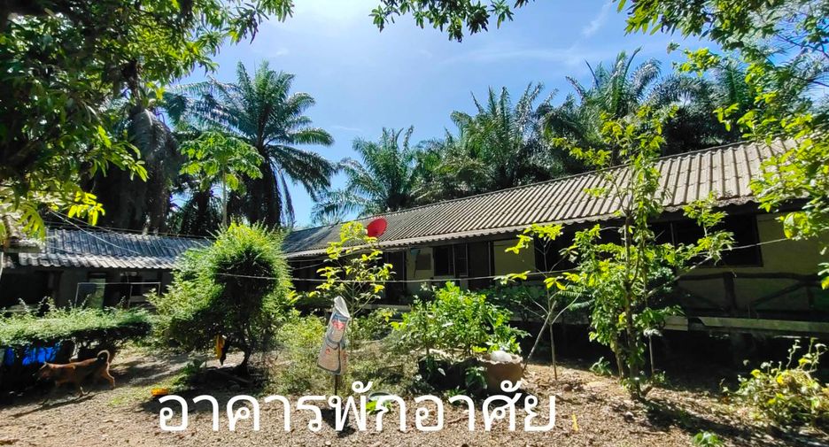 For sale land in Khura Buri, Phang Nga