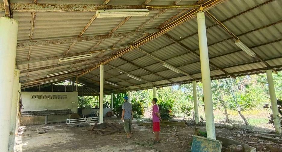 For sale land in Khura Buri, Phang Nga