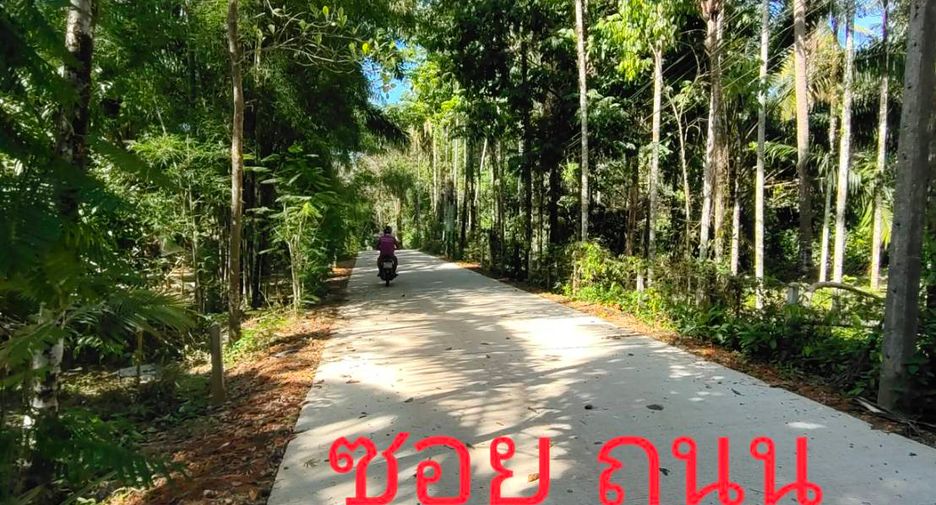 For sale land in Khura Buri, Phang Nga