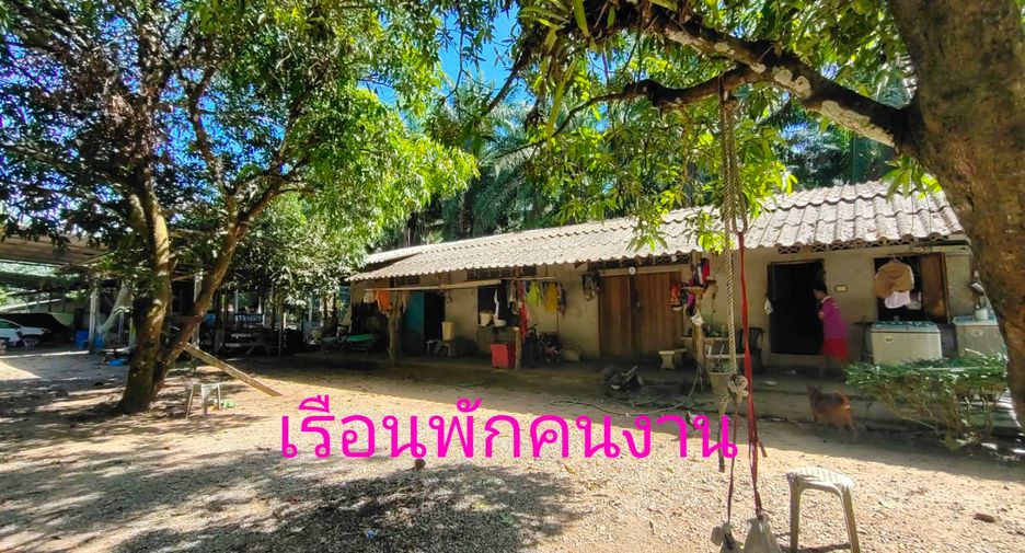 For sale land in Khura Buri, Phang Nga