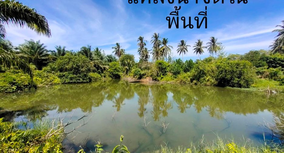 For sale land in Khura Buri, Phang Nga