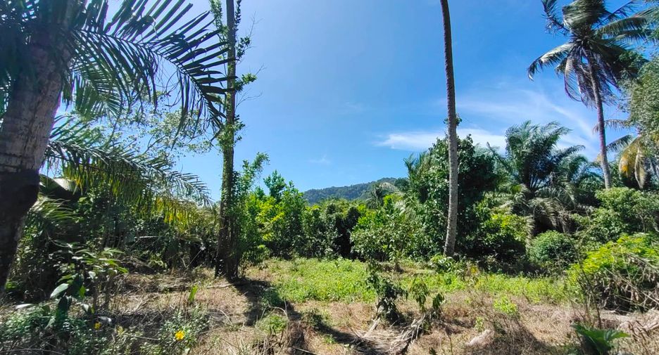 For sale land in Khura Buri, Phang Nga