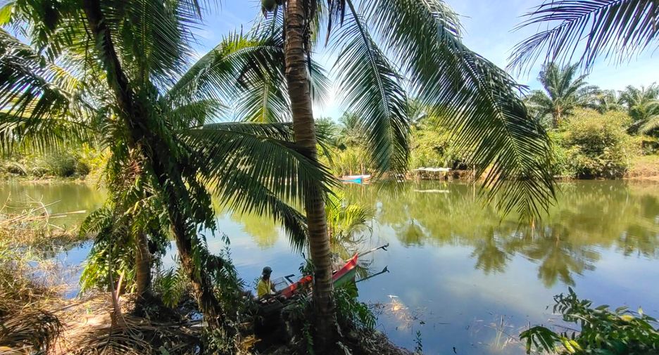For sale land in Khura Buri, Phang Nga