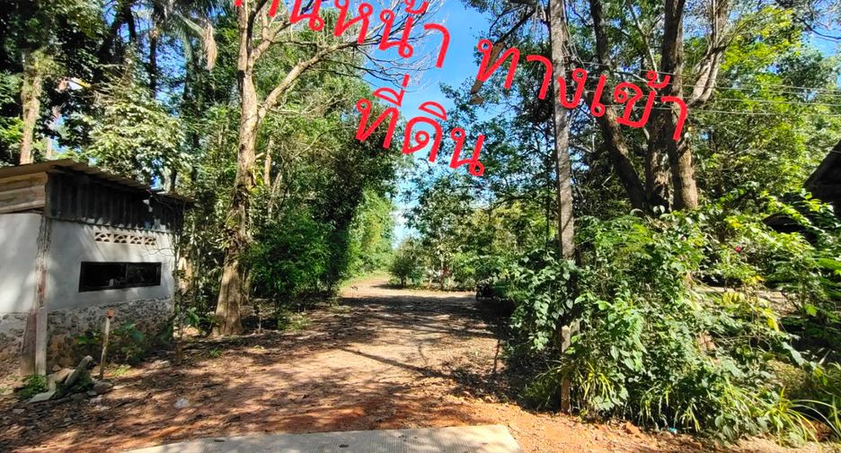 For sale land in Khura Buri, Phang Nga