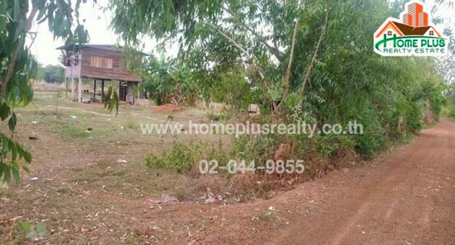 For sale land in Phon Na Kaeo, Sakon Nakhon