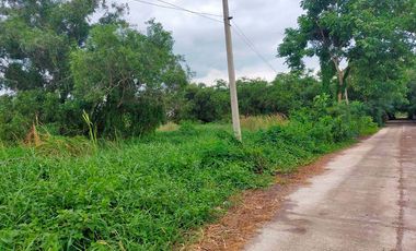 ขาย ที่ดิน ใน คลองหลวง, ปทุมธานี