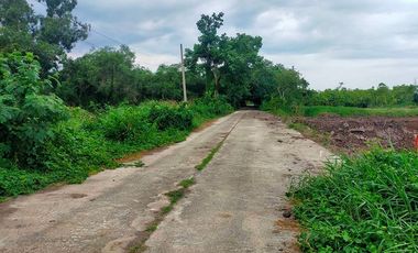 ขาย ที่ดิน ใน คลองหลวง, ปทุมธานี