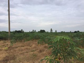 For sale land in Phanom Sarakham, Chachoengsao
