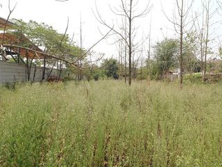 For sale land in Mueang Udon Thani, Udon Thani