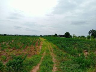For sale land in Phatthana Nikhom, Lopburi