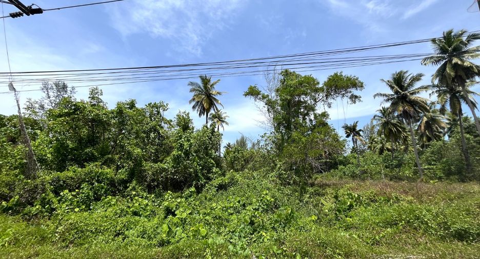 For sale land in Takua Pa, Phang Nga