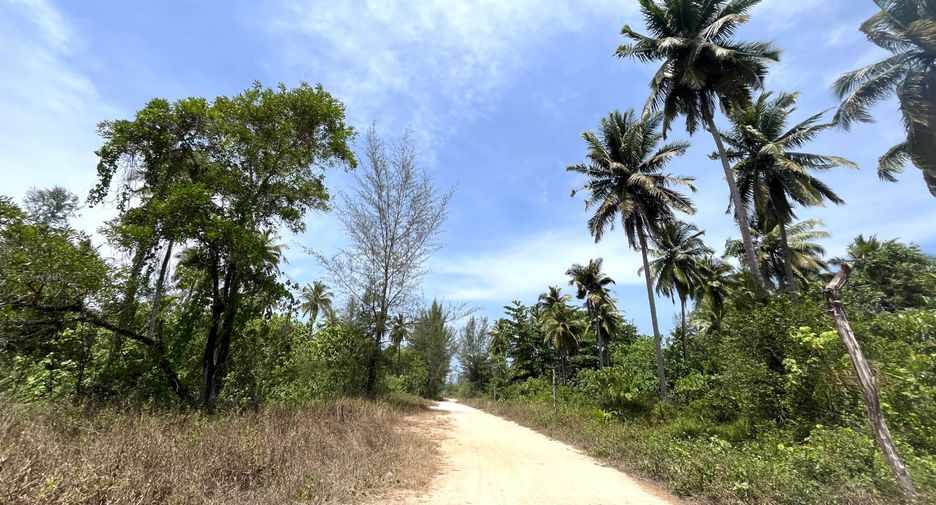 For sale land in Takua Pa, Phang Nga