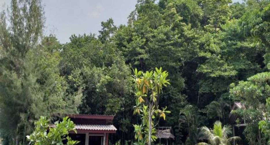 Grundstück zum Kauf in Mueang Phuket, Phuket