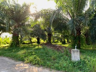 ขาย ที่ดิน ใน ตะกั่วทุ่ง, พังงา