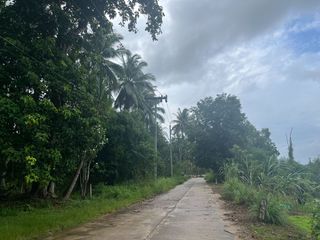 出售 土地 在 Takua Pa, Phangnga