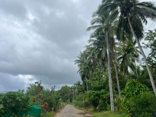 出售 土地 在 Takua Pa, Phangnga