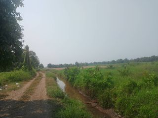 For sale land in Nong Suea, Pathum Thani