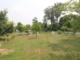 For sale land in Mueang Udon Thani, Udon Thani