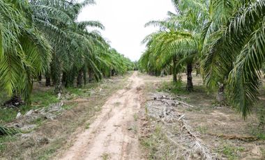 For sale land in Cha Am, Phetchaburi