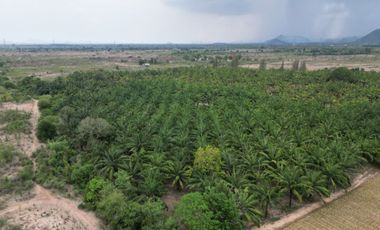 For sale land in Cha Am, Phetchaburi