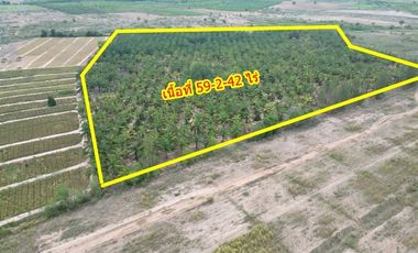 For sale land in Cha Am, Phetchaburi