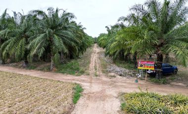 For sale land in Cha Am, Phetchaburi