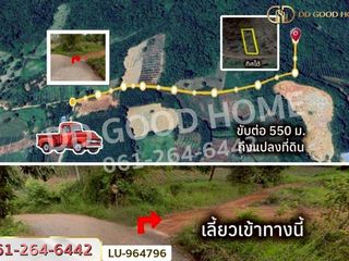 For sale land in Wiang Chiang Rung, Chiang Rai