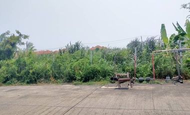 ขาย ที่ดิน ใน หนองแขม, กรุงเทพฯ
