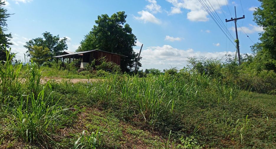 À vendre terrain à Mueang Phetchabun, Phetchabun