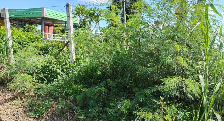 À vendre terrain à Mueang Phetchabun, Phetchabun