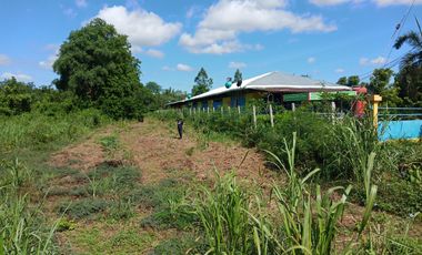 出售 土地 在 Mueang Phetchabun, Phetchabun