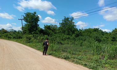 出售 土地 在 Mueang Phetchabun, Phetchabun