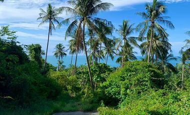For sale land in Ko Samui, Surat Thani