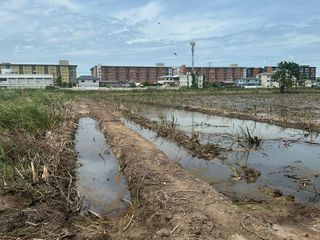 出售 土地 在 Thanyaburi, Pathum Thani