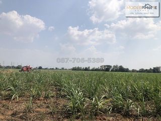 For sale land in Sikhio, Nakhon Ratchasima
