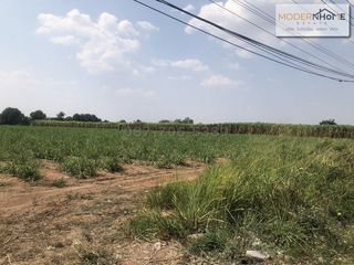 For sale land in Sikhio, Nakhon Ratchasima
