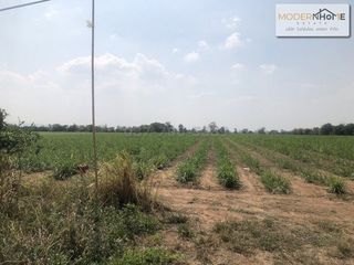 For sale land in Sikhio, Nakhon Ratchasima