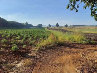 For sale land in Nong Yai, Chonburi