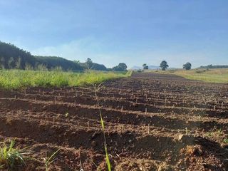 For sale land in Nong Yai, Chonburi